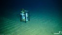 New Project Selected to Study Ecological Impacts of Deep-Sea Mining