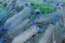 #EUBeachCleanup - La campagne mondiale pour des océans propres et sans plastique