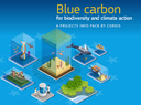 Protéger et restaurer les écosystèmes à carbone bleu de l'Europe